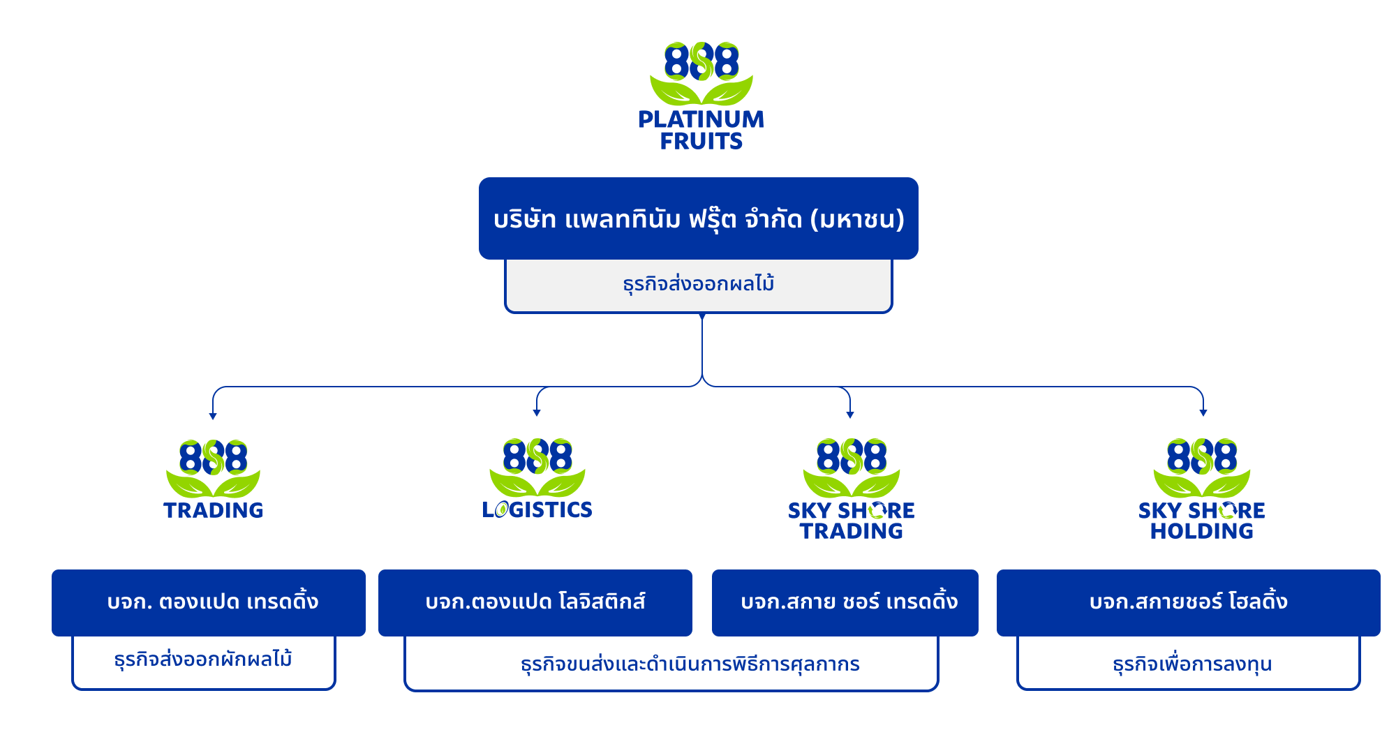 โครงสร้างกลุ่มธุรกิจ